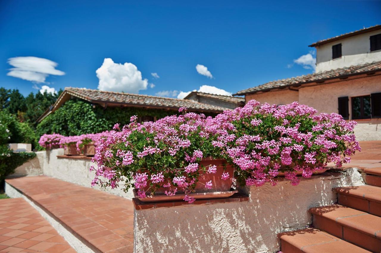 Colle Val D'Elsa - Agriturismo Bardeggiano エクステリア 写真